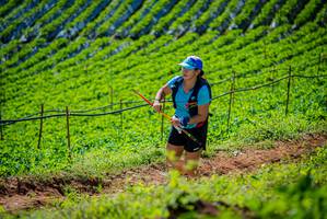 BIB: 
                            <button type="button" onclick="openModal(19162792)" class="btn btn-primary btn-sm float-right btn-popup" data-toggle="modal" data-target=".modal-high-quality">
                        <i class="fas fa-shopping-cart"></i> Add to Cart
                    </button>
                                            <button type="button" onclick="isThisMe(19162792, true)" class="btn btn-success btn-sm float-right btn-popup btn-isme hidden" data-toggle="tooltip" data-placement="bottom" title="นี่คือรูปของคุณใช่ไหม คลิกที่นี่เพื่อเอาเข้าอัลบั้ม">
                        <i class="fas fa-plus"></i> Add to album
                    </button>
                    <button type="button" onclick="isThisMe(19162792, false)" class="btn btn-warning btn-sm float-right btn-popup btn-isnotme hidden">
                        <i class="fas fa-ban"></i> Remove from album
                    </button>